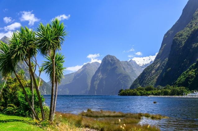 Milford Soundin maisemat muistuttavat Norjan vuonoja.