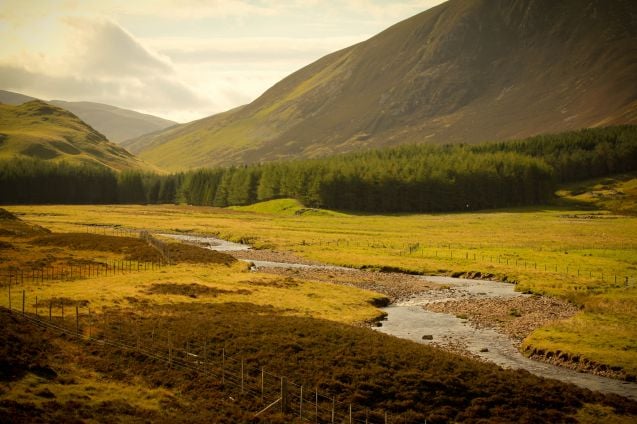 Cairngorms, Skotlanti