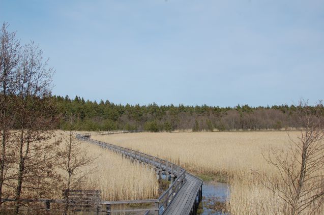 Yyterin lietteille kansallispuistomaisemia ihailemaan? Kuva: Minna-Liisa Salonsaari