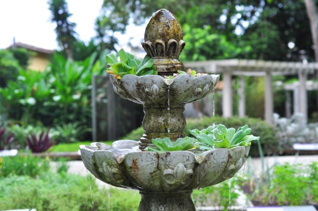 Jardim botânico on luonnosta kiinnostuneille - ja toki muillekin - mukava vierailukohde.