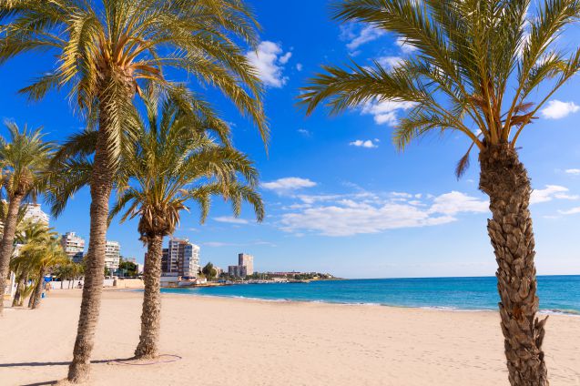 Playa de San Juan, Alicante