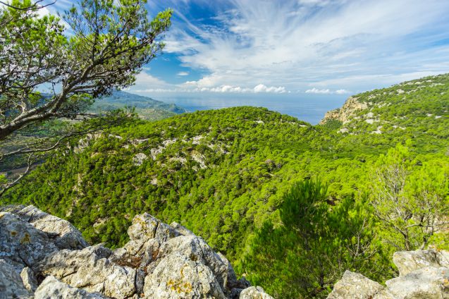 Tramuntanan vuoristossa sijaitsee myös Euroopan parhaana pidetty Sa Foscan kanjoni.