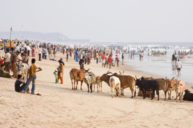 Calanguten rannalla riittää vilinää erityisesti joka syksyisen Diwali-festivaalin (Valon juhla) aikaan.