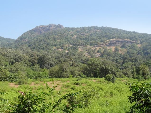 Bhagwan Mahavir ja Mollemin luonnonpuisto.