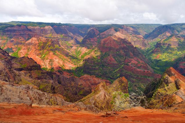 Waimea Canyon