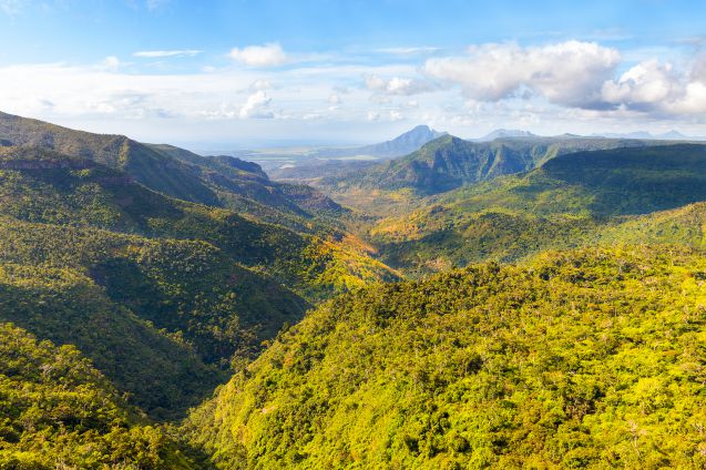 Black River Gorges National Park