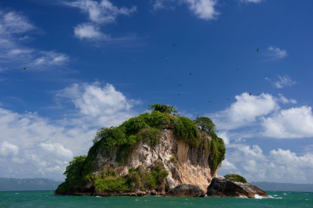 Birds Island, Los Haitisesin kansallispuisto