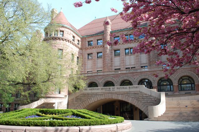 American Museum of Natural History