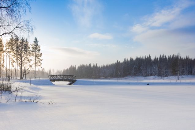 Laskettelurinteiden lisäksi Tahkolla on yli 50 kilometriä hiihtolatuja. Kuva: © Olga Polyakova | Dreamstime.com