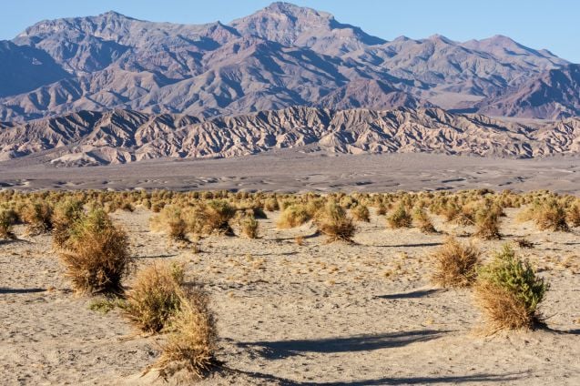 Death Valley eli Kuolemanlaakso. Kuva: © Yehuda Bernstein | Dreamstime.com