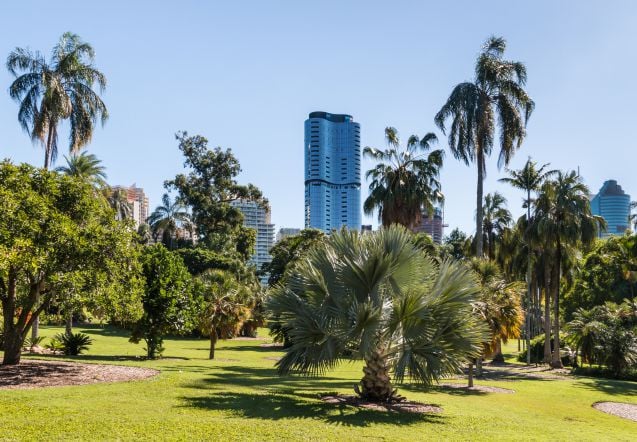 Brisbane Botanic Gardens