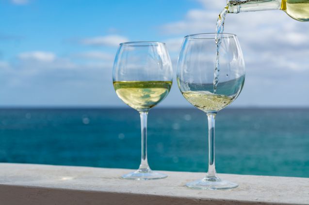 Vierailu paikallisella viinitilalla on kivaa vaihtelua rantapäiviin.