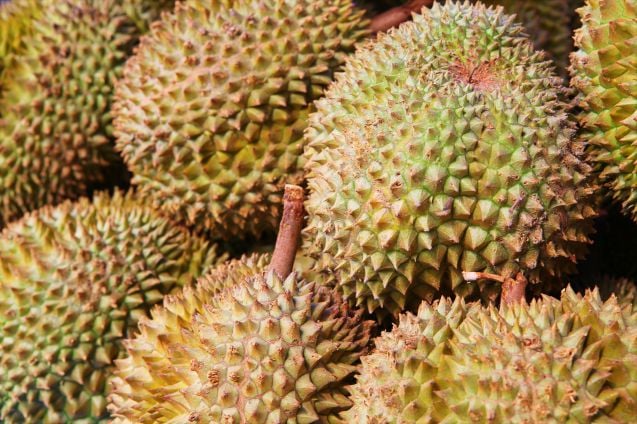 Durian hedelmä
