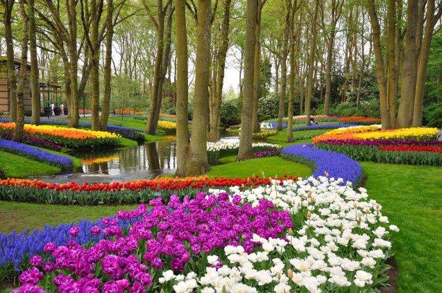 Keukenhof