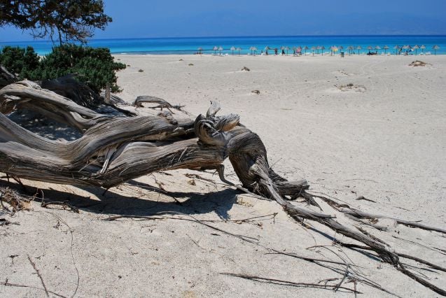 Chrissi Island Beach