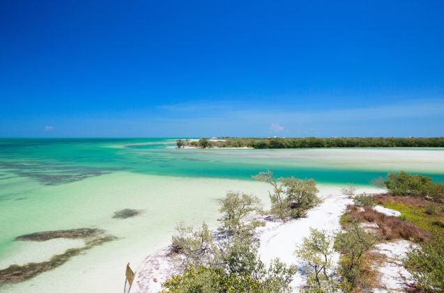 Isla de Holbox