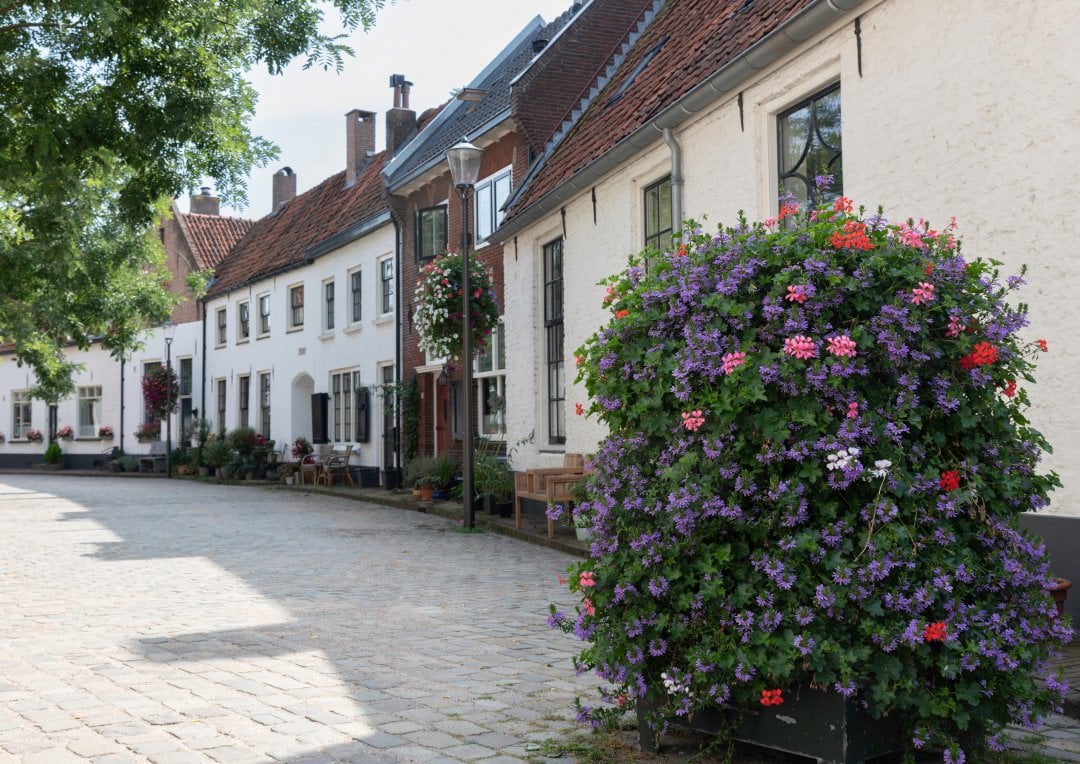 Hattem, Alankomaat