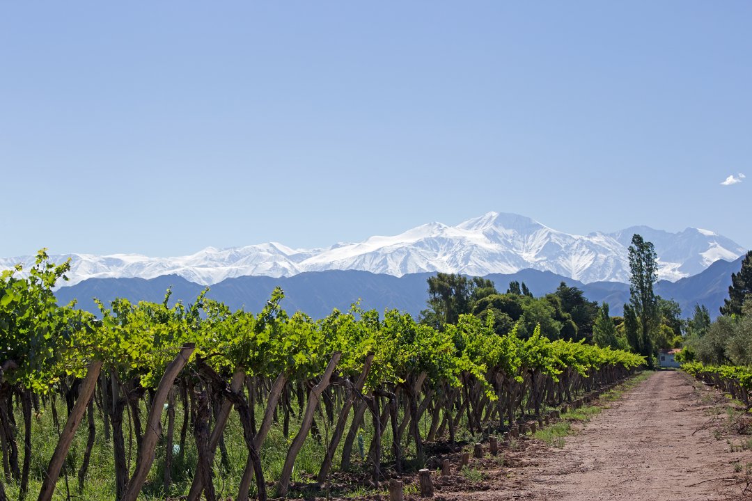 Mendoza, Argentiina