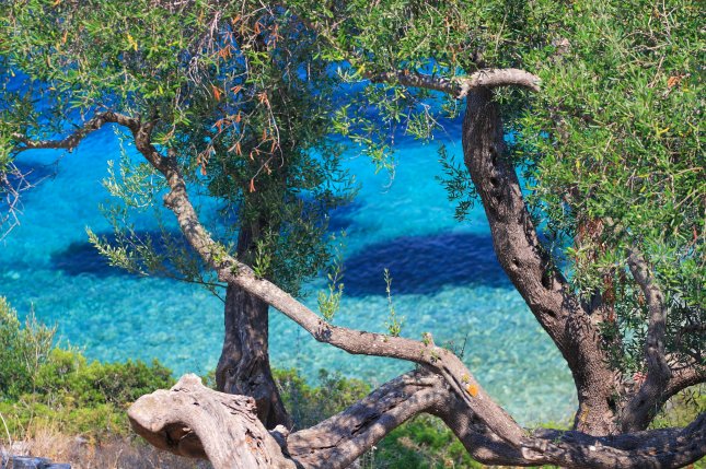 Parga, Kreikka