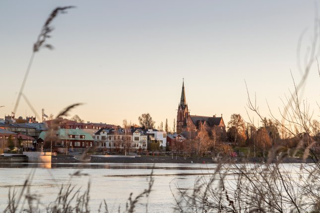 Uumaja