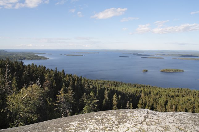 Koli