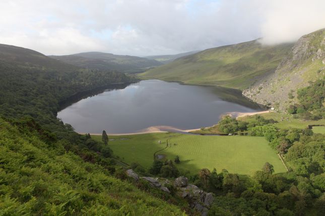 Wicklow