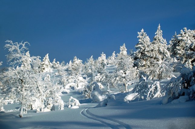 Ivalo
