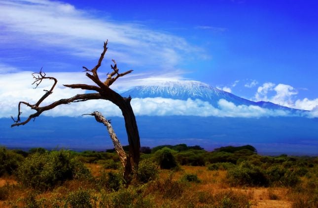 Kilimanjaro