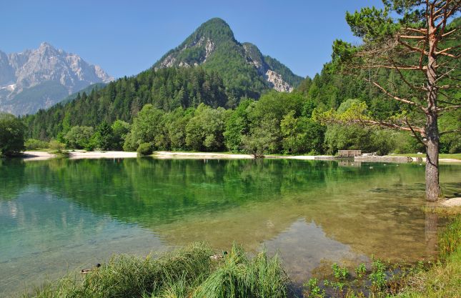 Kranjska Gora