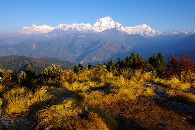 Poon Hill