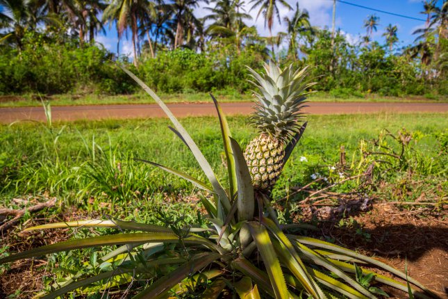 Wallis ja Futuna