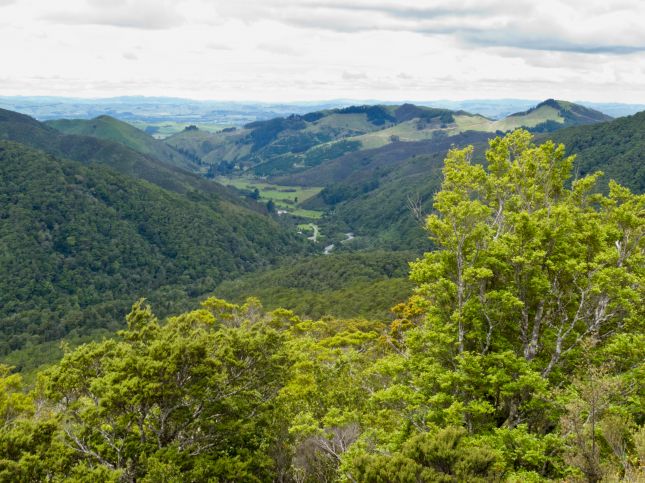 Tararua
