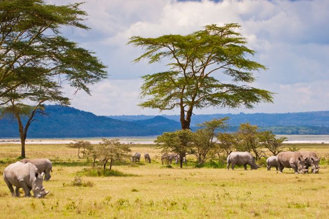 Baringo