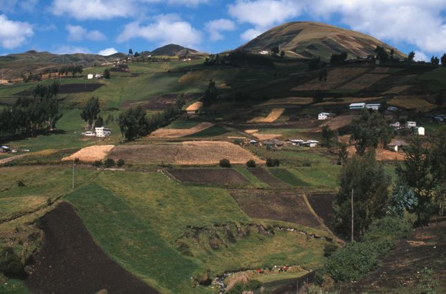 Riobamba