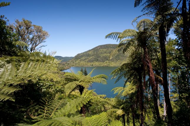Rotorua