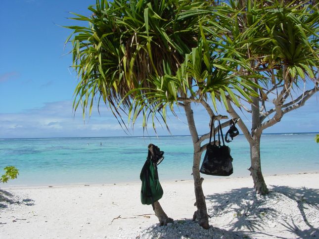 Tahaa