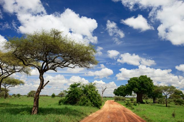 Tarangire