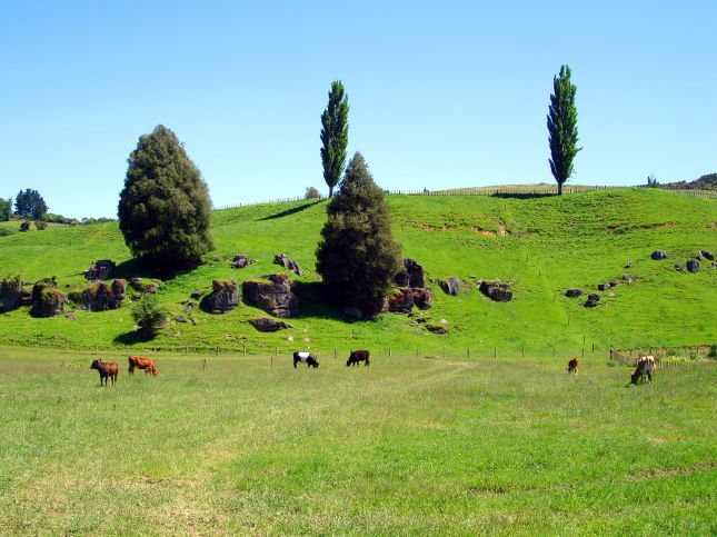 Waitomo