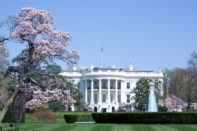 Washington D.C.