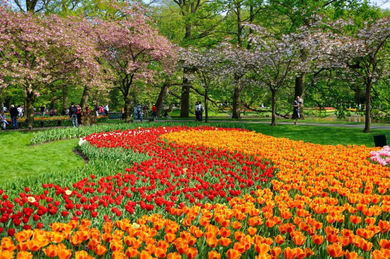 Keukenhof, Alankomaat