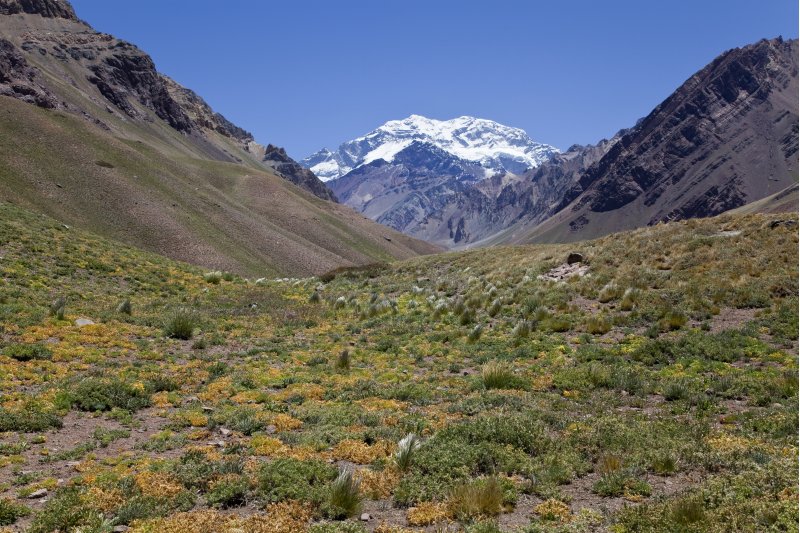 Aconcagua