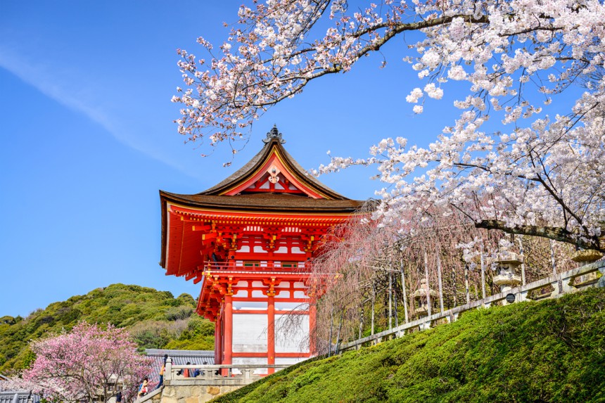 Kirsikankukkia Japanin Kiotossa. Kuva: © Sean Pavone | Dreamstime.com