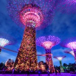 Aasialaisen suurkaupungin keskustasta löytyy futuristinen puutarha: Singaporen vehreä helmi on Gardens by the Bay