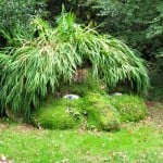Cornwallin viidakon omituiset otukset - Heliganin hulppea puutarha oli kadoksissa kymmeniä vuosia