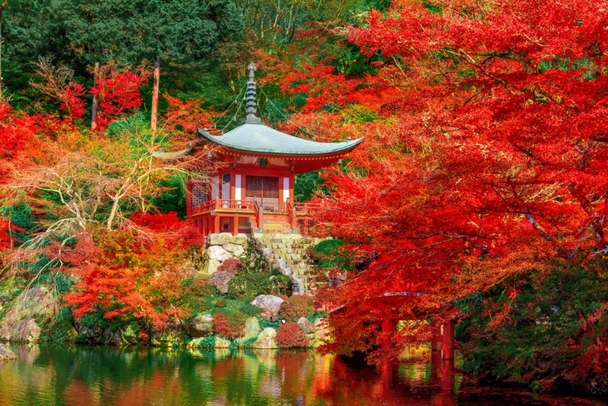 Japanissa ruska on yhtä suosittua matkailusesonkia kuin kevään kirsikankukkien aika. Kuva: © Chanchai Duangdoosan | Dreamstime.com