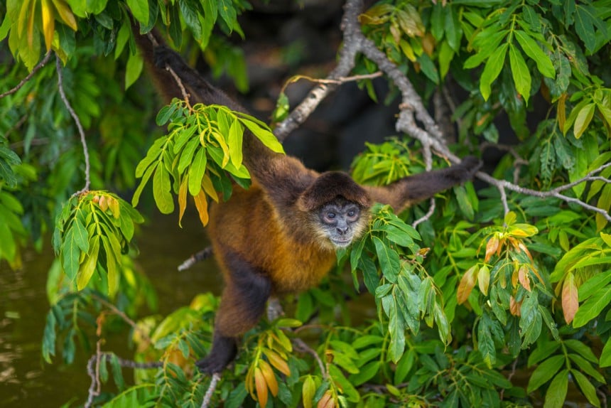 Nicaraguassa pääsee lähelle luontoa. Kuva: © Mauricebrand - Dreamstime.com