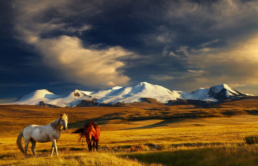 Mongolian arot ja vuoristot ovat seikkailunhaluisen matkakohde. Kuva: © Dmitry Pichugin | Dreamstime.com