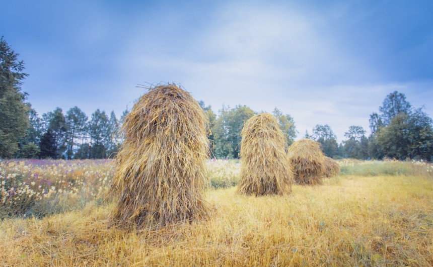 Myös koti-Suomesta löytyy kauniita maisemia. Yksi suosituksistamme on Kuhmon ja Suomussalmen alue, Wild Taiga. Kuva: © Ville Heikkinen | Dreamstime.com