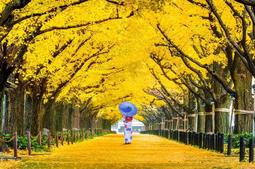 Tokiossa suurkaupungin vilinää tasapainottavat kauniit puistot. Kuva: © Tawatchai Prakobkit | Dreamstime.com