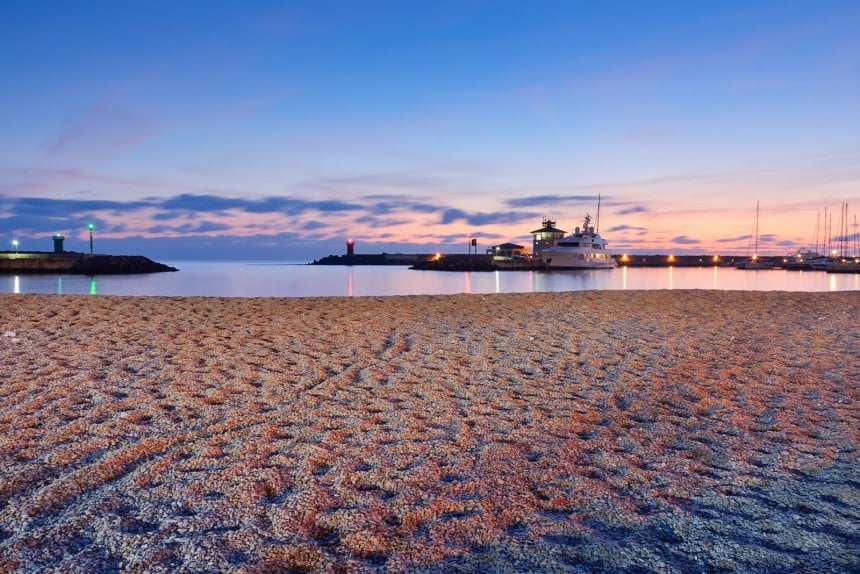 Auringonlasku Lido di Ostian rannalla. Kuva: Pamela Panella | Dreamstime.com